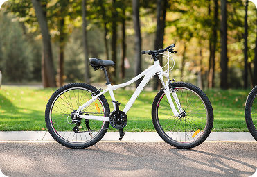 Premium bicycle standing on a road near trees